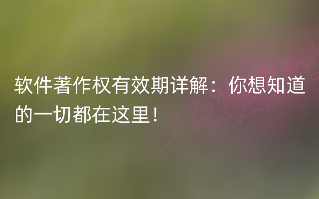 软件著作权有效期详解：你想知道的一切都在这里！