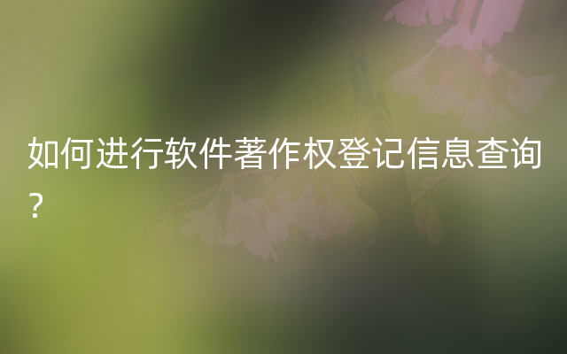 如何进行软件著作权登记信息查询？