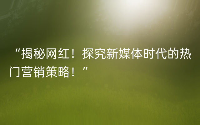 “揭秘网红！探究新媒体时代的热门营销策略！”