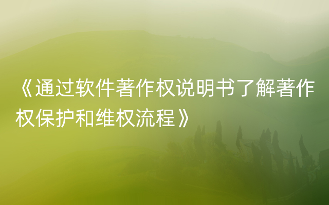 《通过软件著作权说明书了解著作权保护和维权流程》