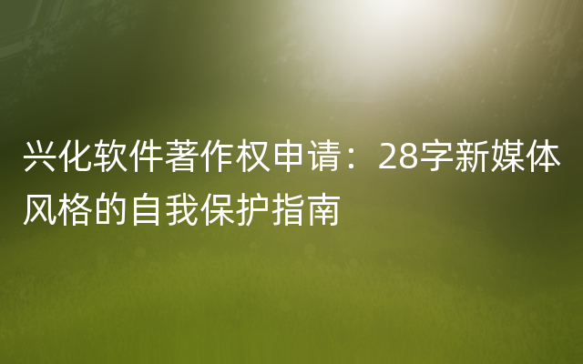 兴化软件著作权申请：28字新媒体风格的自我保护指南