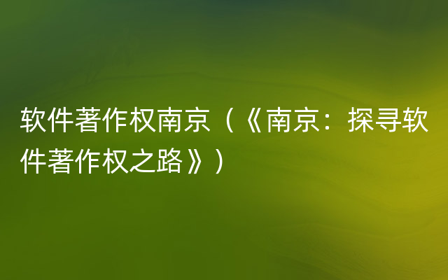 软件著作权南京（《南京：探寻软件著作权之路》）