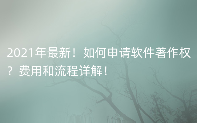 2021年最新！如何申请软件著作权？费用和流程详解！