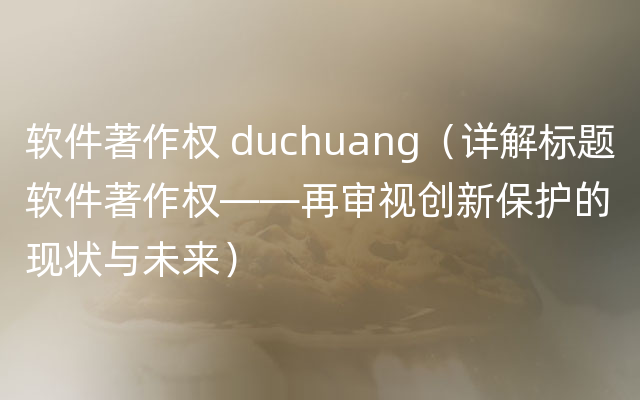 软件著作权 duchuang（详解标题软件著作权——再审视创新保护的现状与未来）