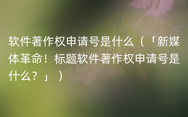 软件著作权申请号是什么（「新媒体革命！标题软件著作权申请号是什么？」 ）