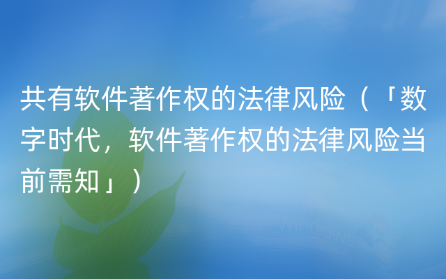 共有软件著作权的法律风险（「数字时代，软件著作权的法律风险当前需知」）