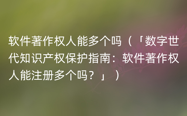 软件著作权人能多个吗（「数字世代知识产权保护指南：软件著作权人能注册多个吗？」 ）