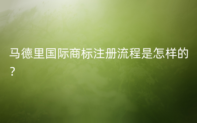 马德里国际商标注册流程是怎样的？