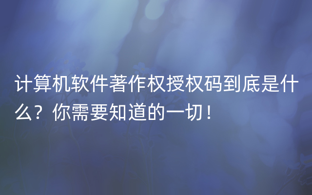 计算机软件著作权授权码到底是什么？你需要知道的一切！