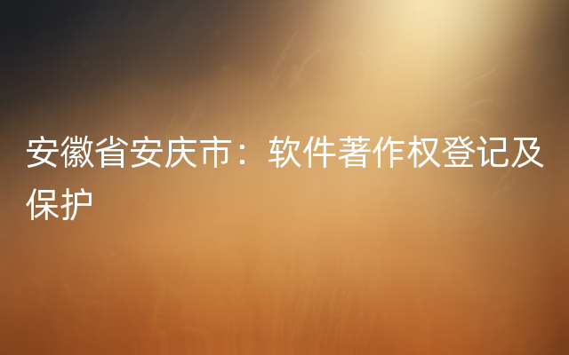 安徽省安庆市：软件著作权登记及保护