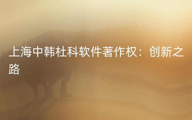 上海中韩杜科软件著作权：创新之路