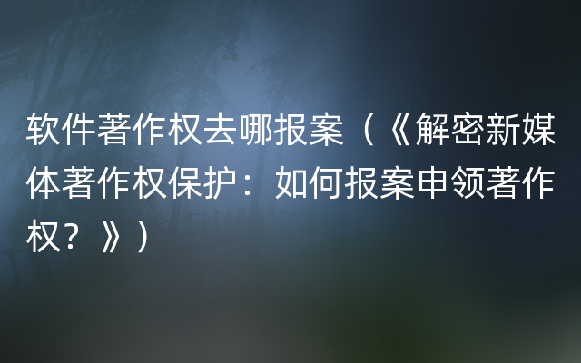 软件著作权去哪报案（《解密新媒体著作权保护：如何报案申领著作权？》）