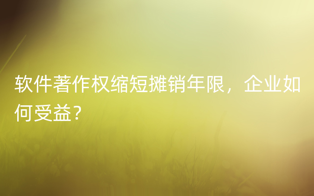 软件著作权缩短摊销年限，企业如何受益？