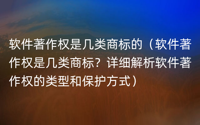 软件著作权是几类商标的（软件著作权是几类商标？详细解析软件著作权的类型和保护方式）