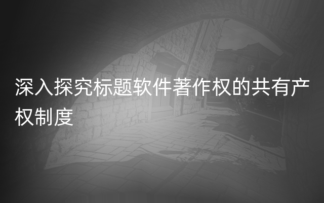 深入探究标题软件著作权的共有产权制度