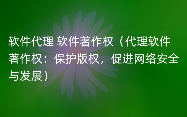 软件代理 软件著作权（代理软件著作权：保护版权，促进网络安全与发展）