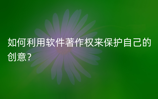 如何利用软件著作权来保护自己的创意？