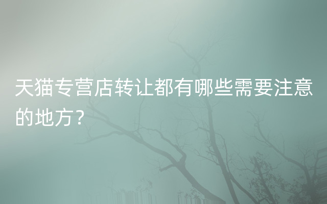 天猫专营店转让都有哪些需要注意的地方？