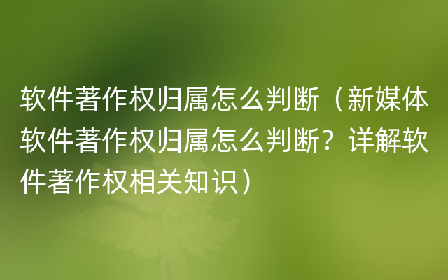 软件著作权归属怎么判断（新媒体软件著作权归属怎么判断？详解软件著作权相关知识）