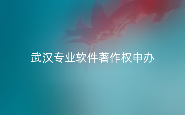 武汉专业软件著作权申办