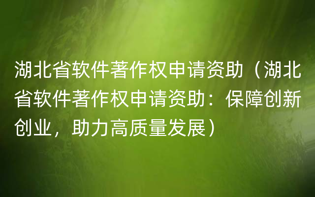 湖北省软件著作权申请资助（湖北省软件著作权申请资助：保障创新创业，助力高质量发展）