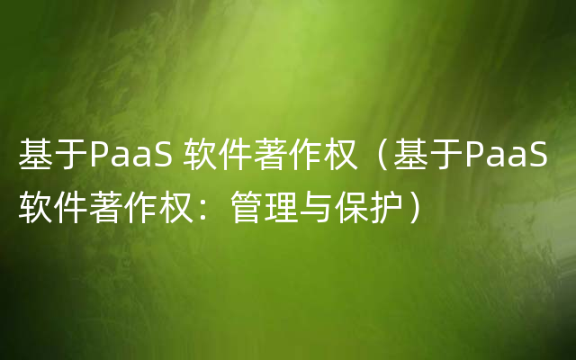 基于PaaS 软件著作权（基于PaaS 软件著作权：管理与保护）