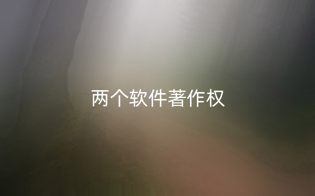 两个软件著作权