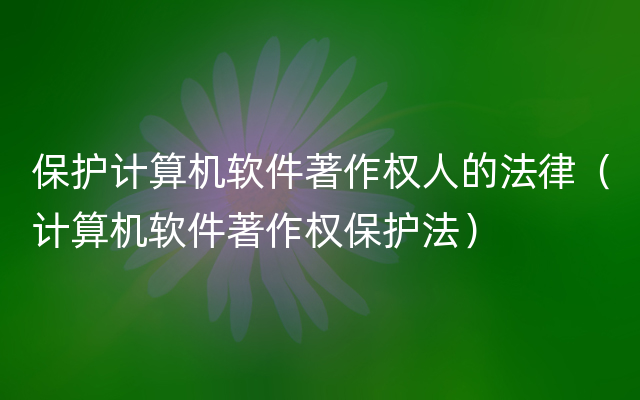 保护计算机软件著作权人的法律（计算机软件著作权保护法）