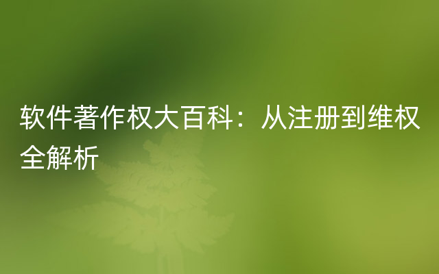 软件著作权大百科：从注册到维权全解析