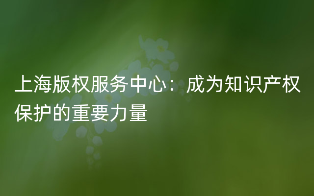 上海版权服务中心：成为知识产权保护的重要力量