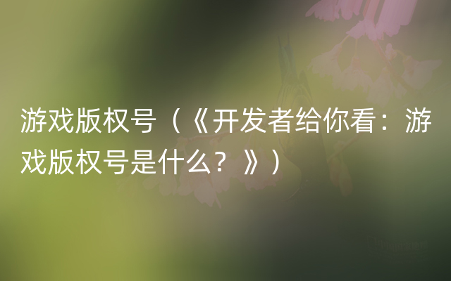 游戏版权号（《开发者给你看：游戏版权号是什么？》）